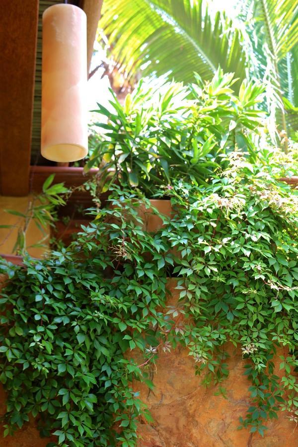 The Inn Manzanillo Bay Troncones Exterior photo